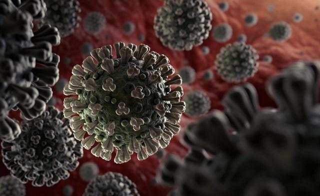 Coronavirus-15
