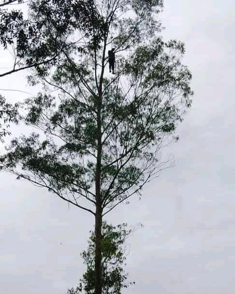 FB_IMG_16204839305068116