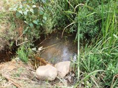 Water Crisis hits over 8000 families in Rukungiri.