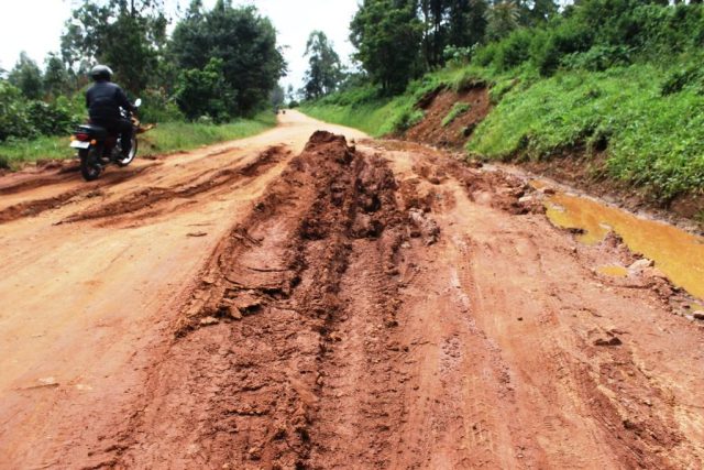 The current status of Kanungu–Rugyeyo–Kabaranga . This roads is used by locals to transport coffee and tea to Rugyeyo coffee and tea processing centers. photo by Ronald Kabanza (1)