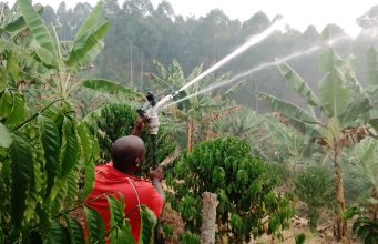 Irrigation a game changer for Rukungiri Local Farmers.