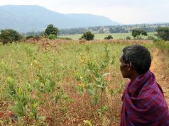 Fake agro inputs hampers Rukungiri farmers.