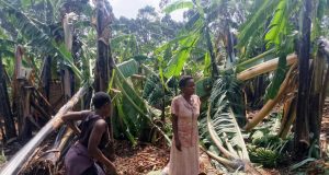 Windstorm leaves A Trail of Destruction in Rukungiri.