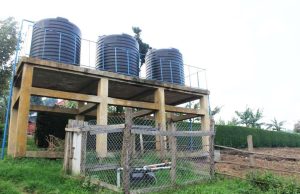 Multimillion irrigation project wasting away in Rukungiri.